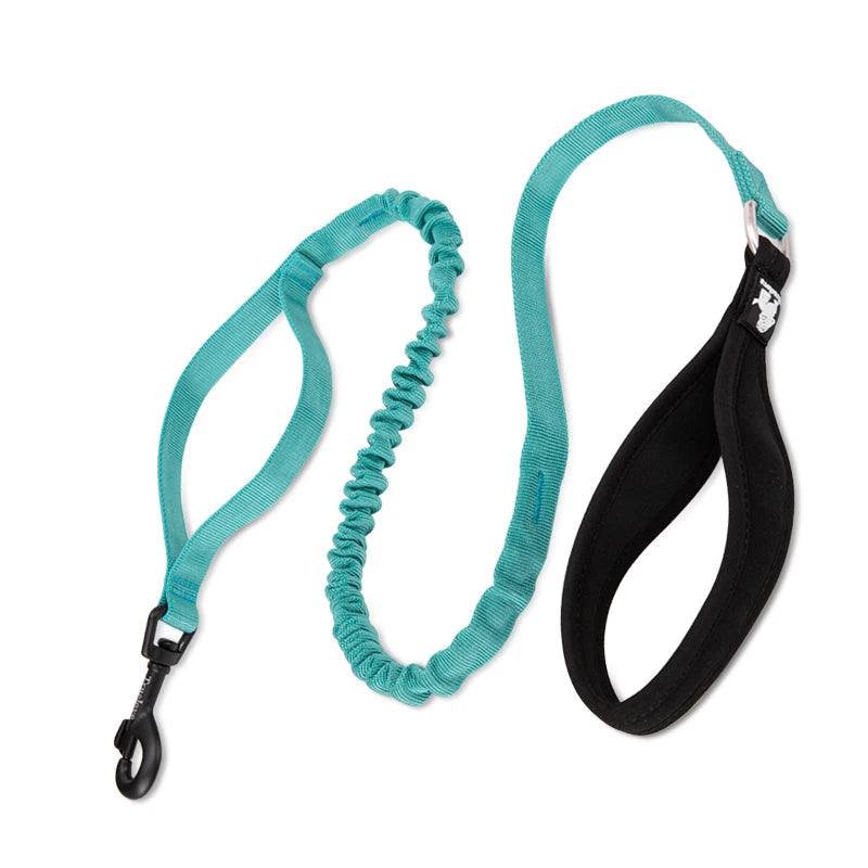 Shock-Absorbing Dog Leash – Strong, Secure & Built for Power! - Pet house