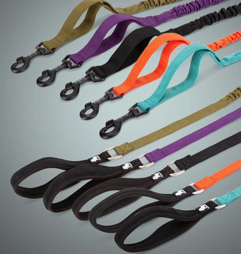 Shock-Absorbing Dog Leash – Strong, Secure & Built for Power! - Pet house
