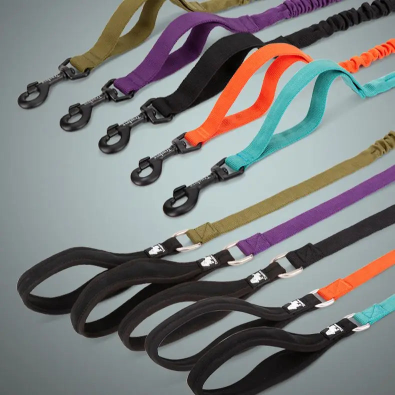 Shock-Absorbing Dog Leash – Strong, Secure & Built for Power! - Pet house
