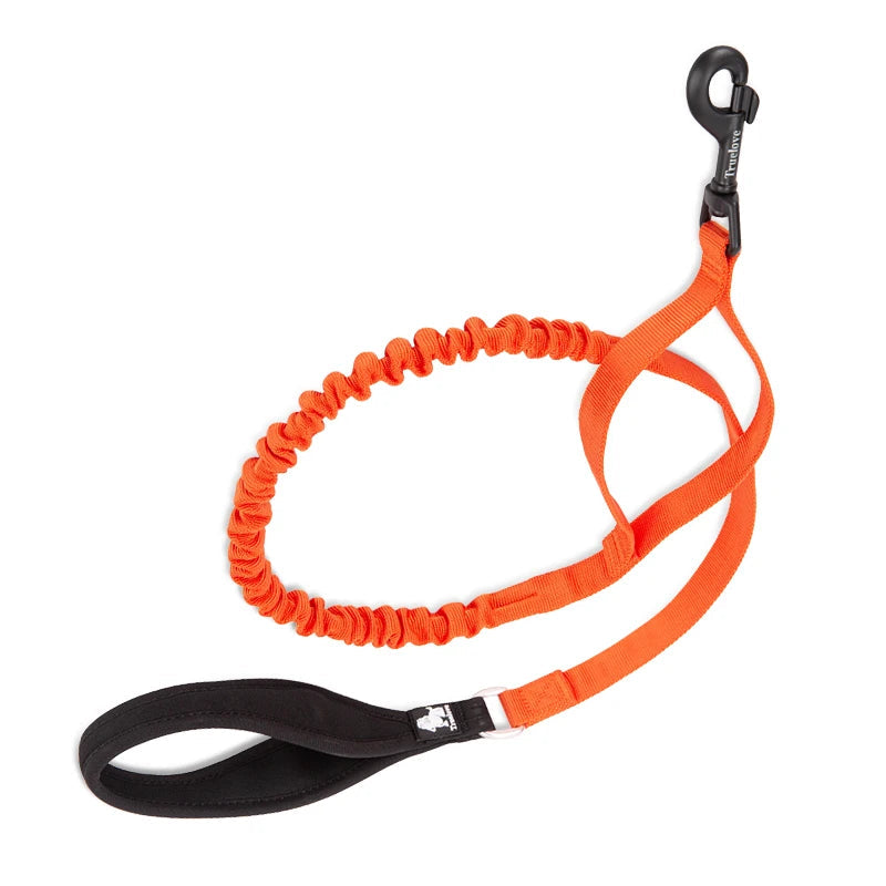 Shock-Absorbing Dog Leash – Strong, Secure & Built for Power! - Pet house