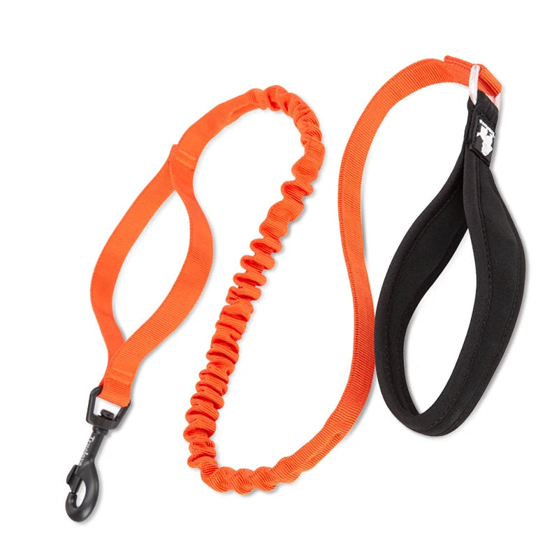 Shock-Absorbing Dog Leash – Strong, Secure & Built for Power! - Pet house
