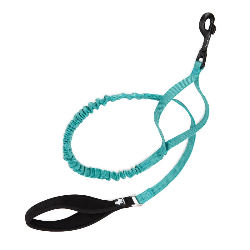 Shock-Absorbing Dog Leash – Strong, Secure & Built for Power! - Pet house