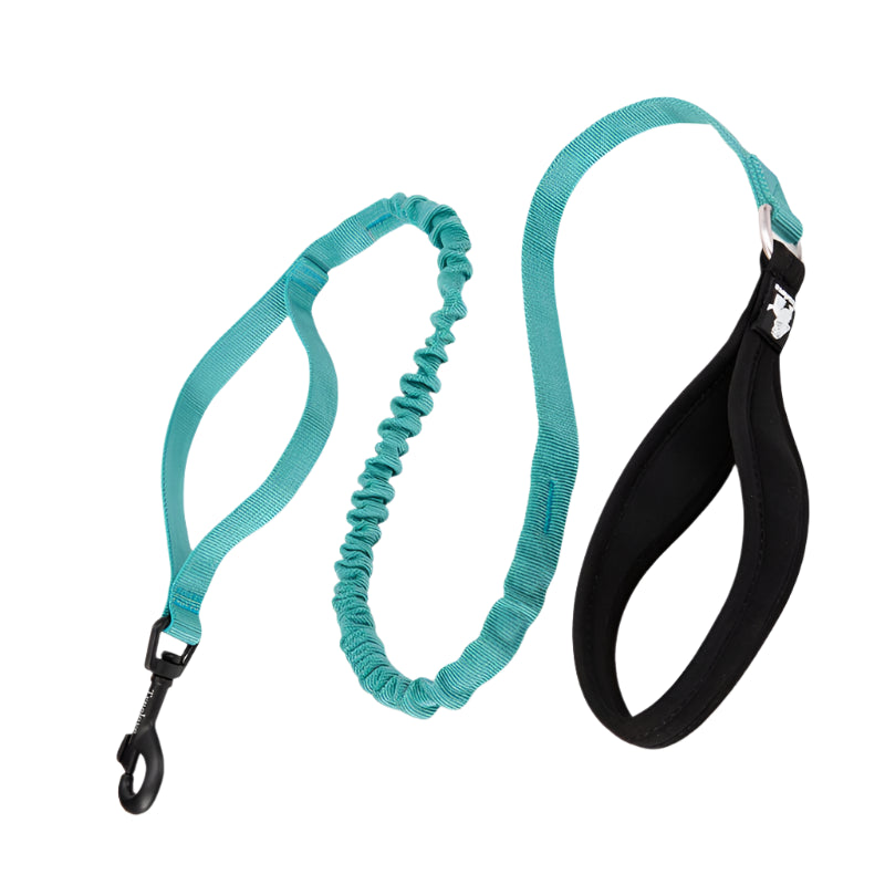 Shock-Absorbing Dog Leash – Strong, Secure & Built for Power! - Pet house