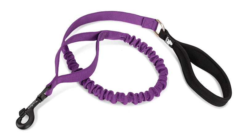 Shock-Absorbing Dog Leash – Strong, Secure & Built for Power! - Pet house
