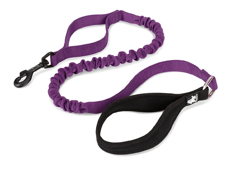 Shock-Absorbing Dog Leash – Strong, Secure & Built for Power! - Pet house