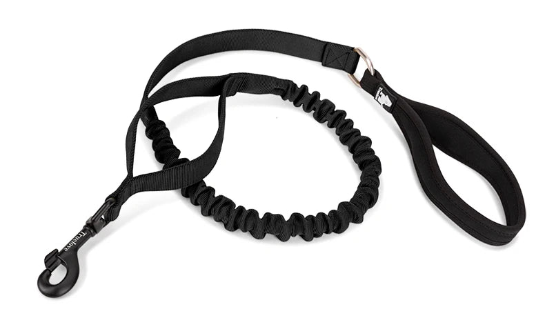 Shock-Absorbing Dog Leash – Strong, Secure & Built for Power! - Pet house
