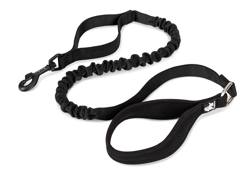 Shock-Absorbing Dog Leash – Strong, Secure & Built for Power! - Pet house