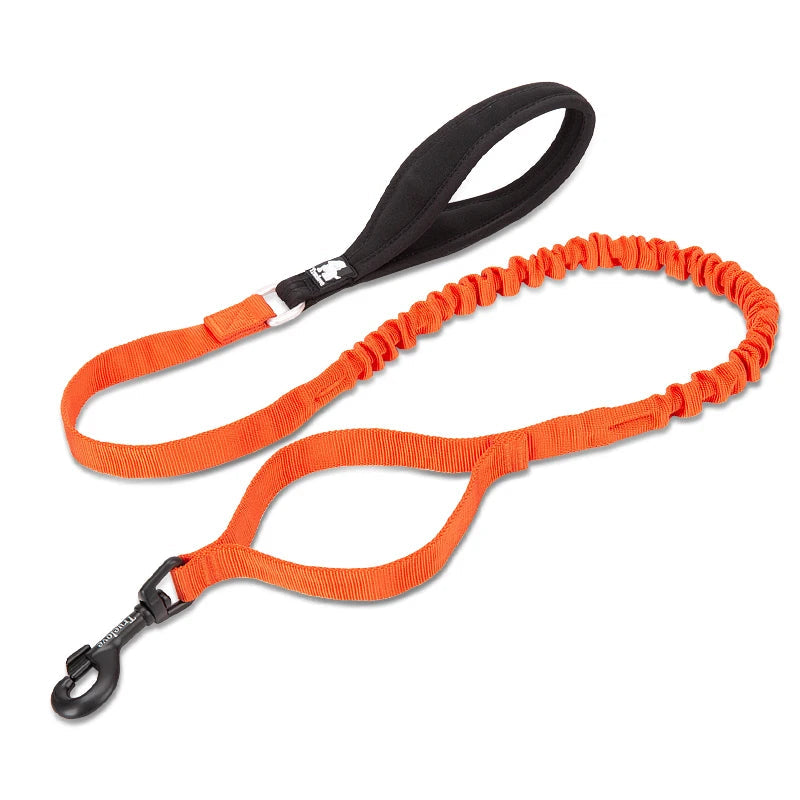 Shock-Absorbing Dog Leash – Strong, Secure & Built for Power! - Pet house