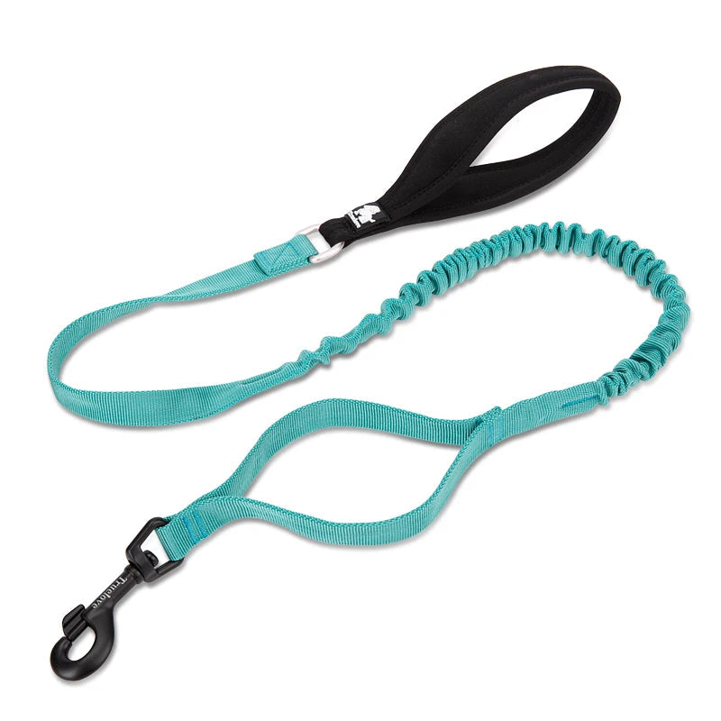 Shock-Absorbing Dog Leash – Strong, Secure & Built for Power! - Pet house