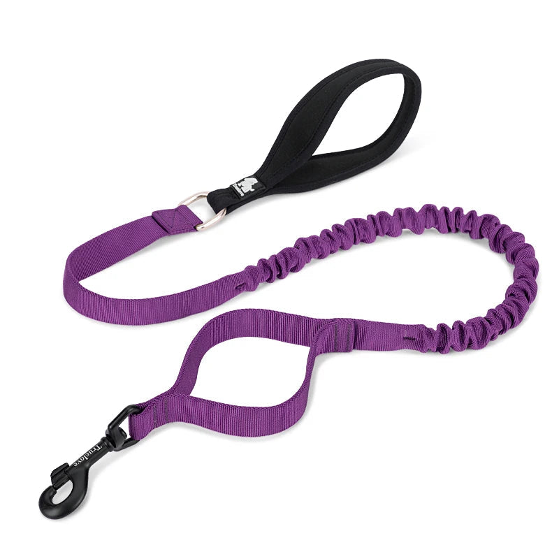 Shock-Absorbing Dog Leash – Strong, Secure & Built for Power! - Pet house