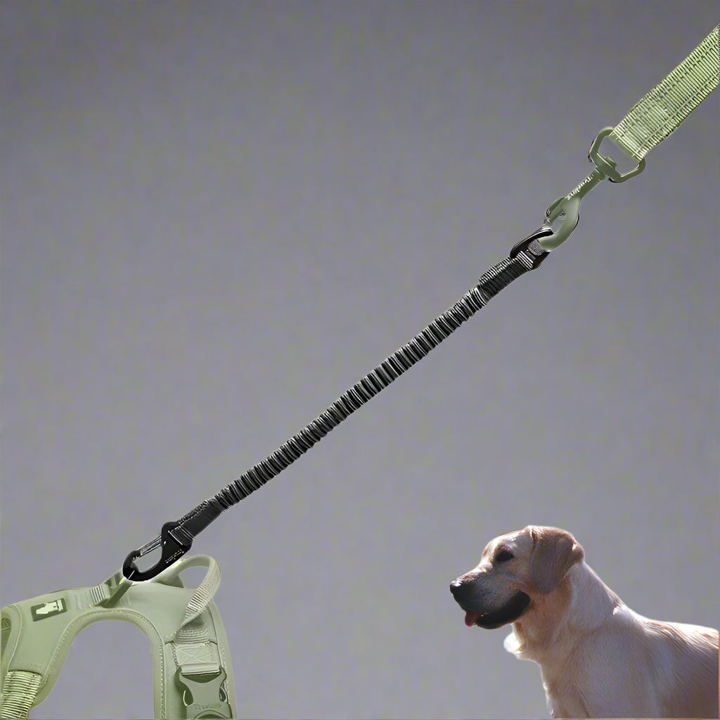 Short Bungee Dog Leash – Shock-Absorbing, Strong & Secure! - Pet house