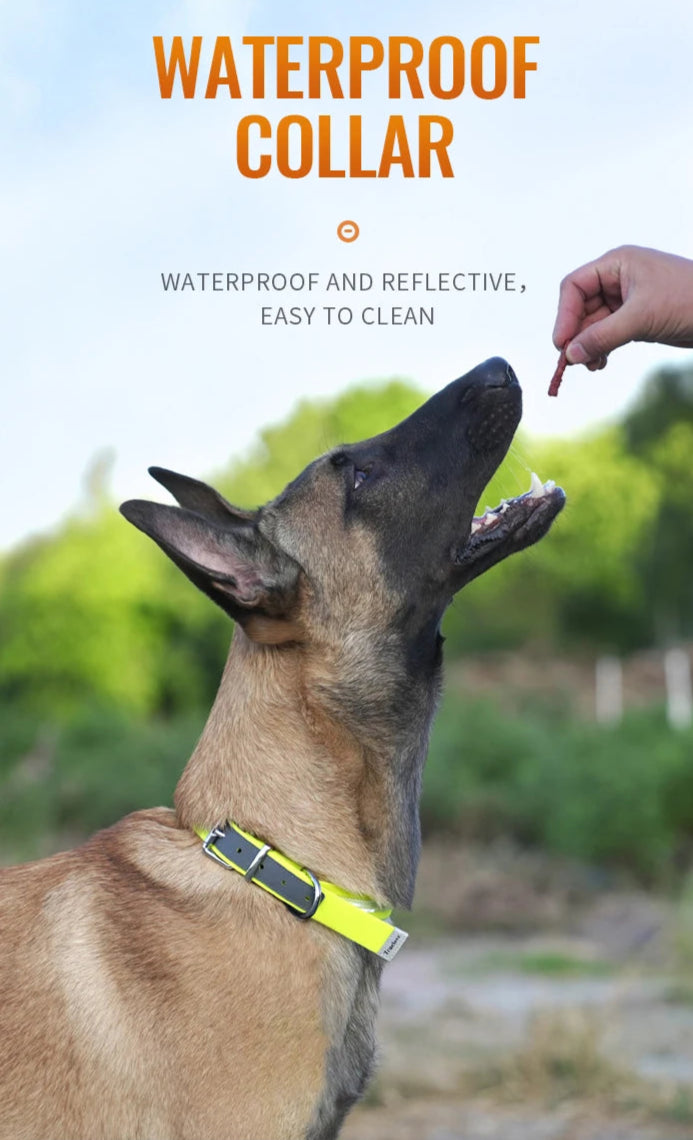 Waterproof & Anti-Odor Dog Collar – Durable, Soft & Adjustable! - Pet house
