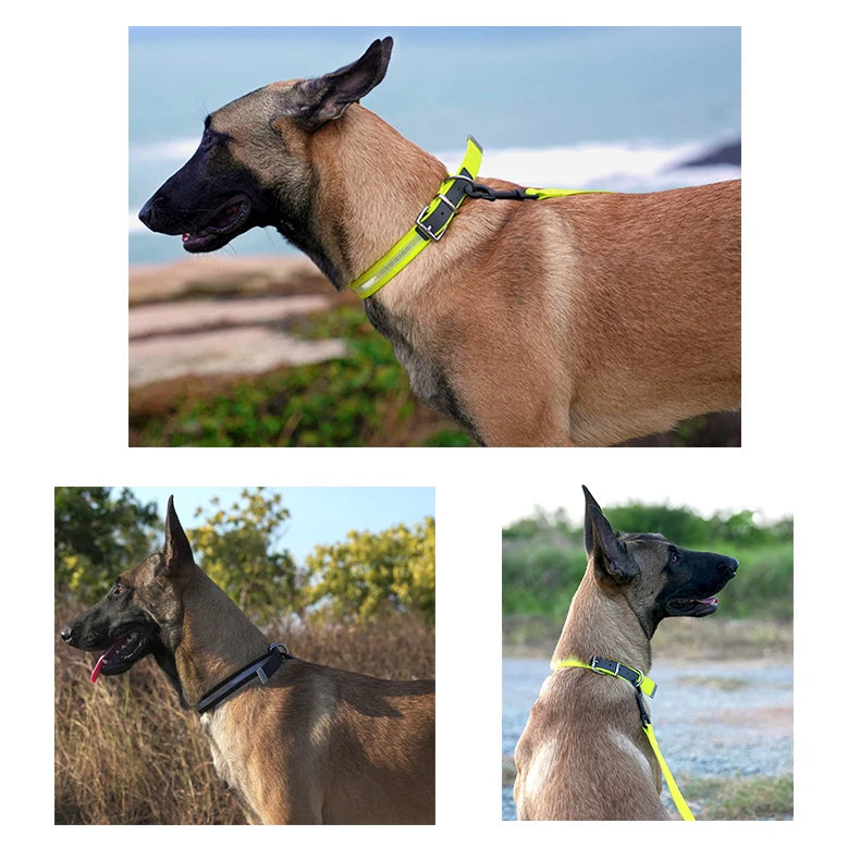 Waterproof & Anti-Odor Dog Collar – Durable, Soft & Adjustable! - Pet house