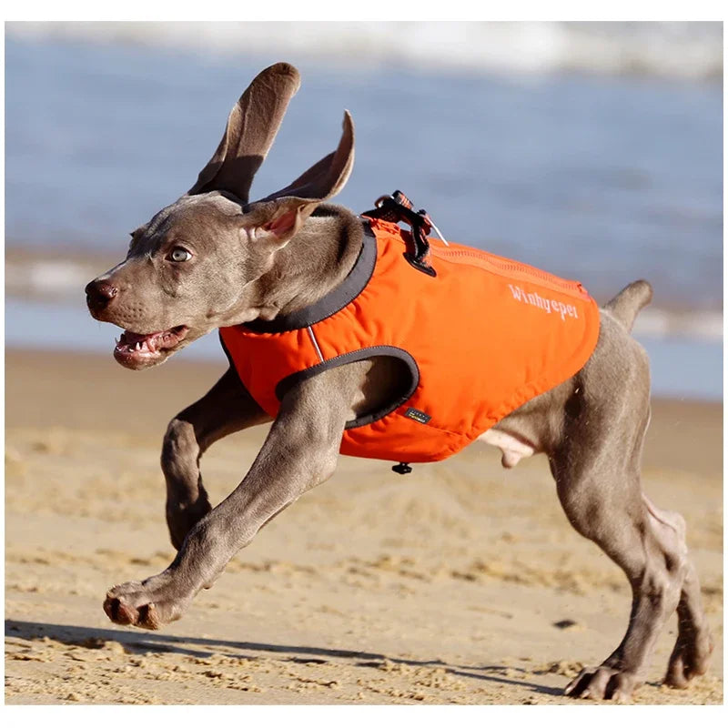 Waterproof Dog Jacket & Harness – All-Weather Protection & Comfort - Pet house