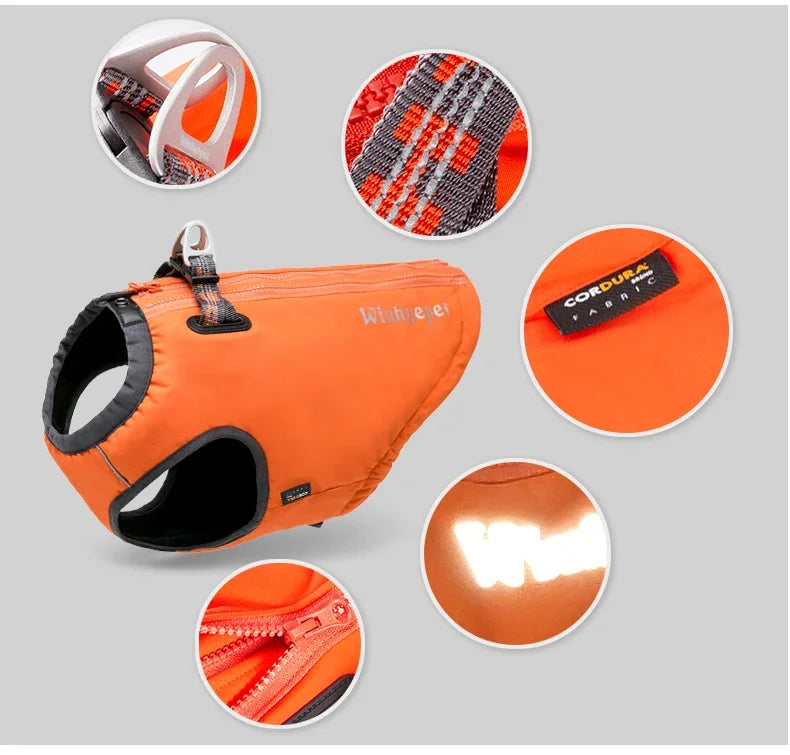 Waterproof Dog Jacket & Harness – All-Weather Protection & Comfort - Pet house