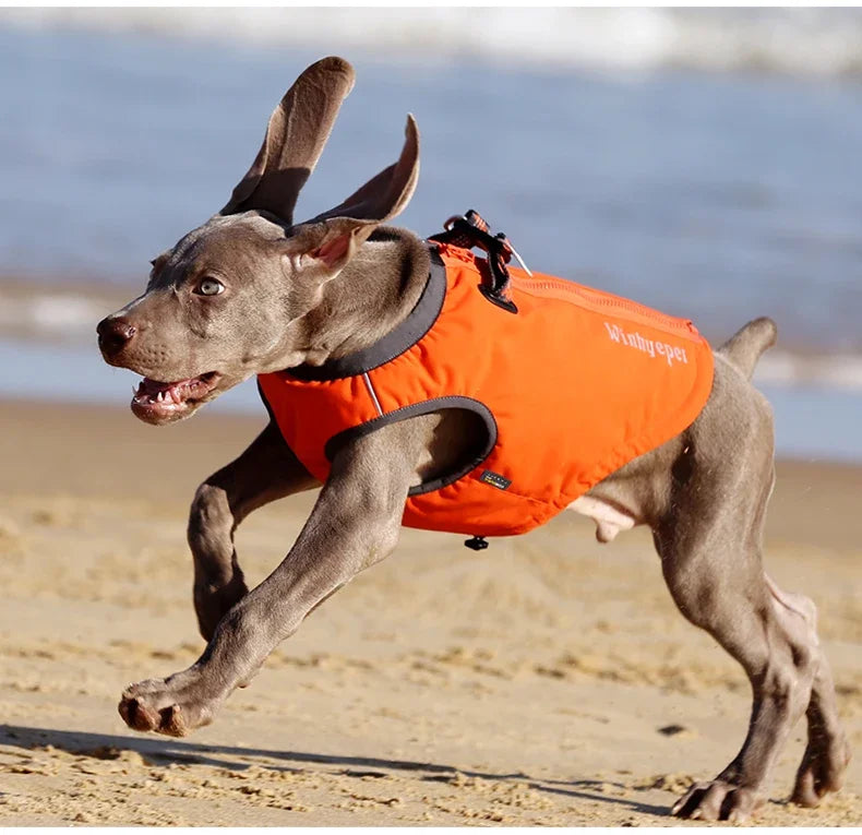 Waterproof Dog Jacket & Harness – All-Weather Protection & Comfort - Pet house