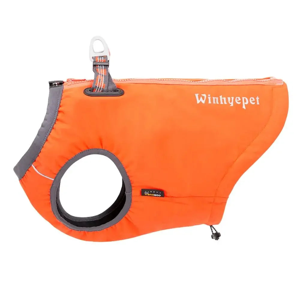Waterproof Dog Jacket & Harness – All-Weather Protection & Comfort - Pet house