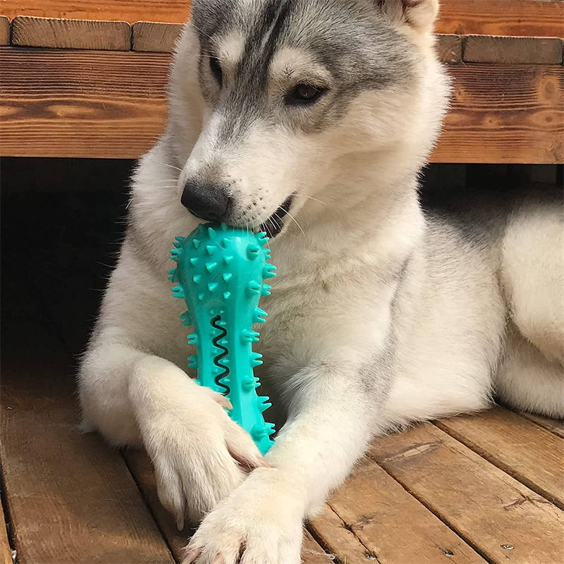 Indestructible Dog Chew Toy – Cleans Teeth & Satisfies Chewing Instinct! - Pet house