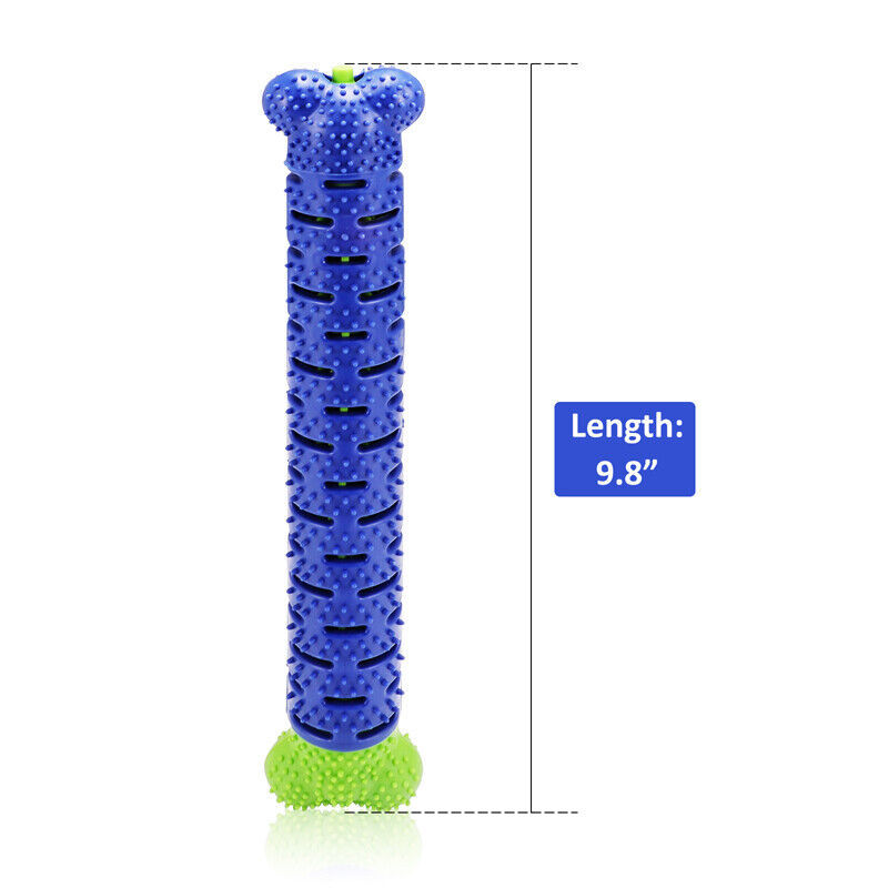 Ultimate Dog Chew & Toothbrush Toy – Durable TPR Dental Care - Pet house