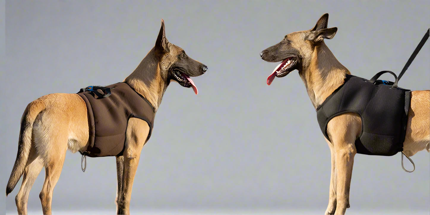 Dog Car Safety Harness – Secure, Adjustable & Comfortable! - Pet house