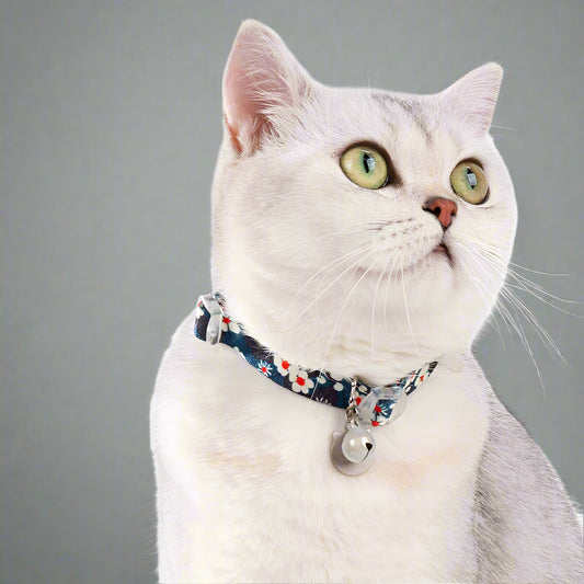 Floral Pet Collar with Bell – Stylish, Adjustable & Personalized! - Pet house