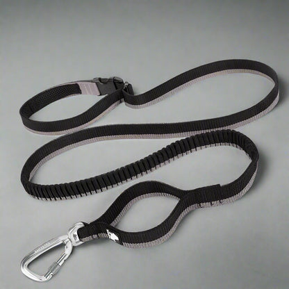 Hands-Free Bungee Dog Leash – Shock-Absorbing & Secure! - Pet house