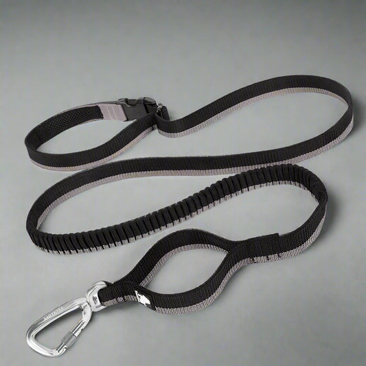 Hands-Free Bungee Dog Leash – Shock-Absorbing & Secure! - Pet house