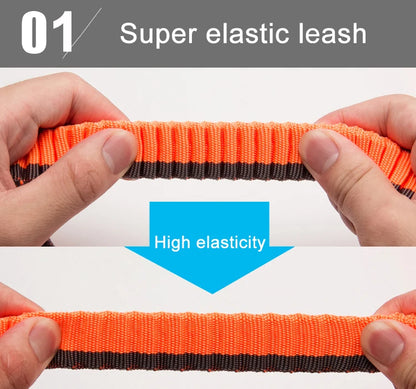 Hands-Free Bungee Dog Leash – Shock-Absorbing & Secure! - Pet house