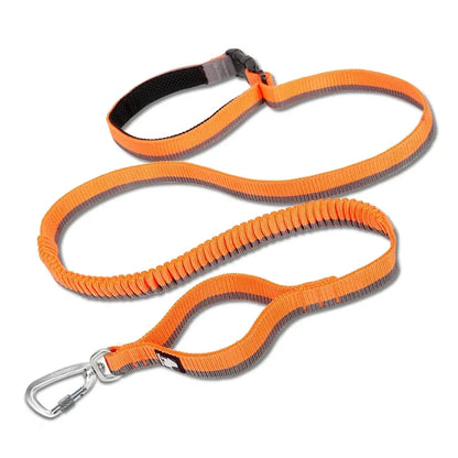 Hands-Free Bungee Dog Leash – Shock-Absorbing & Secure! - Pet house