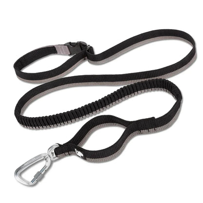Hands-Free Bungee Dog Leash – Shock-Absorbing & Secure! - Pet house