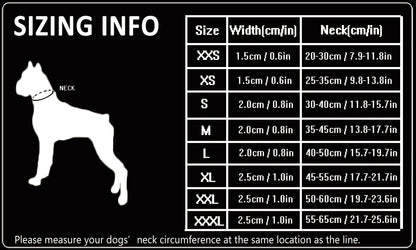 Heavy-Duty No-Pull Dog Collar – Padded, Adjustable & Secure! - Pet house