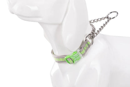 Heavy-Duty P-Chain Dog Collar – Adjustable, Reflective & Secure! - Pet house