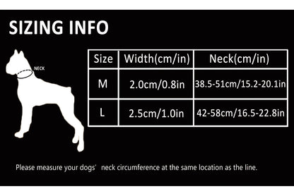 Heavy-Duty P-Chain Dog Collar – Adjustable, Reflective & Secure! - Pet house