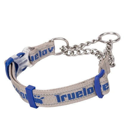 Heavy-Duty P-Chain Dog Collar – Adjustable, Reflective & Secure! - Pet house