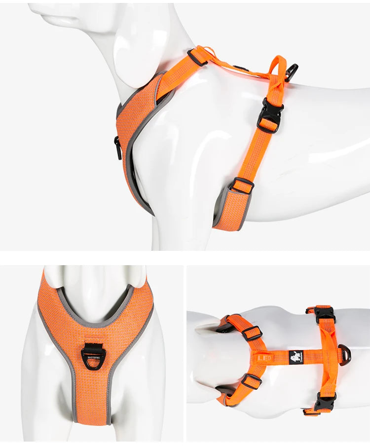 Reflective No-Pull Dog Harness – Adjustable, Secure & Training-Ready! - Pet house