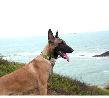 Reflective Personalized Dog Collar – Adjustable, Breathable & Durable! - Pet house