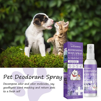 Lavender Scent Dog Air Freshener & Deodorizer Spray – Long-Lasting Freshness! - Pet house
