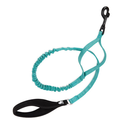 Shock-Absorbing Dog Leash – Strong, Secure & Built for Power! - Pet house