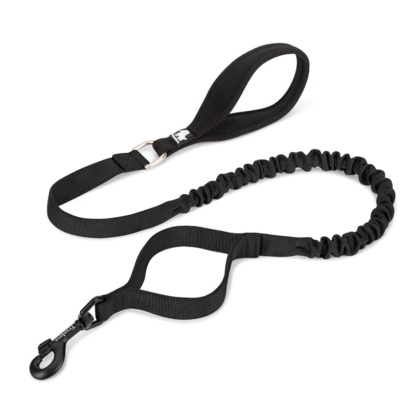 Shock-Absorbing Dog Leash – Strong, Secure & Built for Power! - Pet house