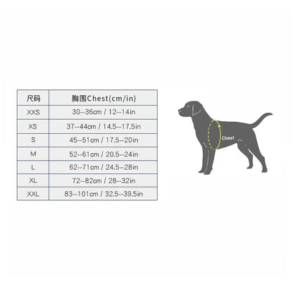 Waterproof Dog Jacket & Harness – All-Weather Protection & Comfort - Pet house
