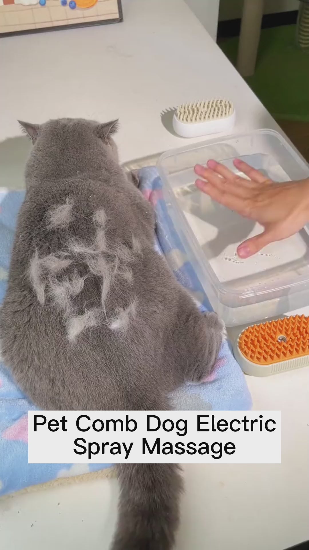 Load video: Electric Steam Pet Brush, 3-in-1 Pet Grooming Tool, Cat and Dog De-Shedding Brush, Pet Massage Comb, Steam Mist Pet Brush, Rechargeable Pet Grooming Brush