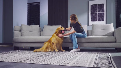 Dog Grooming Vacuum Kit – Quiet, Powerful & Mess-Free Grooming